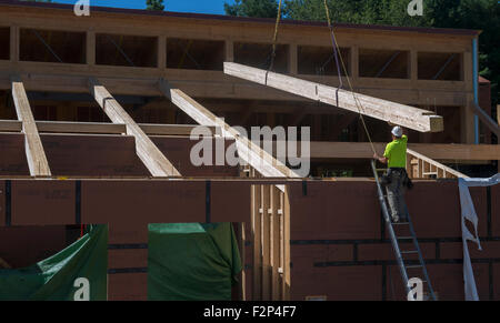 Carpenter installe des chevrons de toit en bois sur la certification LEED Platine un terrain d'école secondaire. Banque D'Images