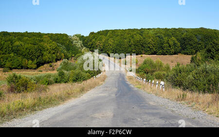 Vieux Chemin à travers champ et forêt Banque D'Images