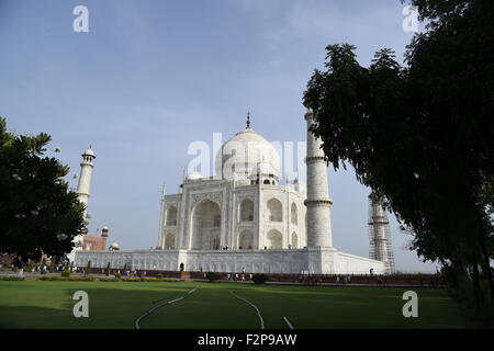 Vue complète du marbre blanc Taj Mahal (palais de la couronne)Low angle view dans de doux lumière magnifique ciel bleu & arbre de jardin Agra Inde Asie Banque D'Images