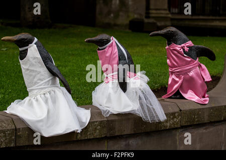 Pingouins Bronze repéré wearing Wedding et demoiselles robes miniature en dehors de l'Eglise "Le Clocher" à Dundee, Royaume-Uni Banque D'Images