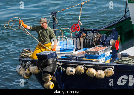 Pêcheur avec hawser à bord d'amarrage de bateaux de pêche de chalutiers pour décharger les captures de crevettes dans le port, Bretagne, France Banque D'Images