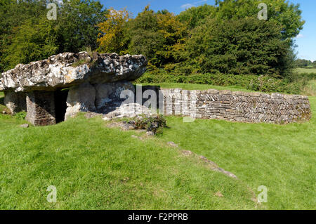 Tinkinswood chambre funéraire, St Nicholas, Vale of Glamorgan, Pays de Galles, Royaume-Uni. Banque D'Images