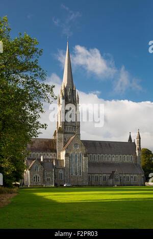 Tôt le matin, à St Mary's Cathedral (b. 1855), Killarney, comté de Kerry, Irlande Banque D'Images