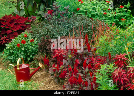 Joli jardin rouge fleurs et feuillage avec arrosoir rouge jardin comme accent, Missouri USA Banque D'Images