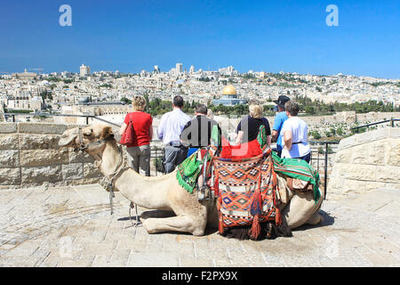 Les touristes à la recherche au Dôme du Rocher à Jérusalem avec camel situé de manière optimale sur l'avant-plan Banque D'Images