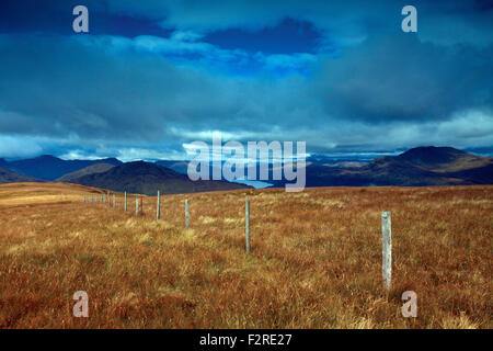 Ben Lomond, Loch Lomond et les Alpes Arrochar de Beinn Dubh, Loch Lomond et les Trossachs National Park Banque D'Images