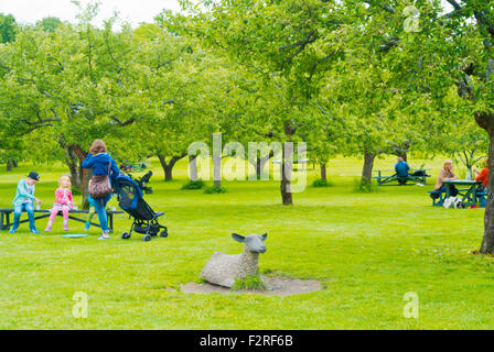 Fruitträdgården fruits, jardin, place de pique-nique, Rosendals Trädgård, jardins Rosendal, île de Djurgården, Stockholm, Suède Banque D'Images