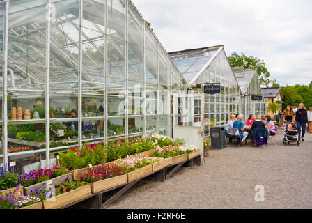 Les serres, immobilier magasins de fleurs et les dîners-restaurant, Rosendals Trädgård, jardins Rosendal, Djurgården, Stockholm, Suède Banque D'Images