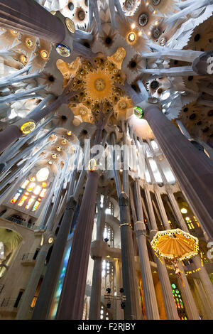 Sagrada Familia à Barcelone, Espagne Banque D'Images