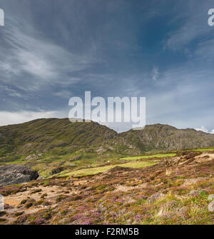 Vue de la côte près de Allihies, Beara, comté de Cork, vers la montagne Slieve Miskish, composé de roches dévoniennes plié Banque D'Images
