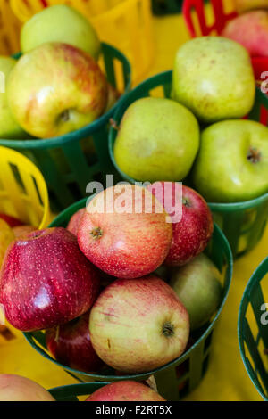 Les pommes cultivées sur place à l'affiche au marché de producteurs sur la rue Main, au centre-ville de Greenville, Caroline du Sud. Banque D'Images