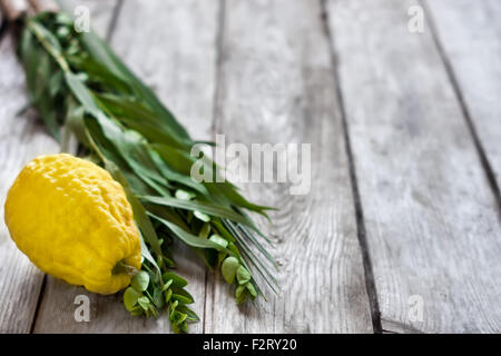 Les symboles du peuple juif automne fête de Souccot, Loulav - etrog, branche de palmier, de myrte et de saule - sur le vieux fond de bois. Banque D'Images