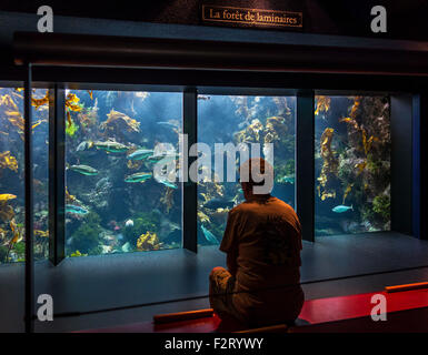 Visiteur à la recherche de poissons en aquarium géant à Océanopolis - parc de découverte des océans - à Brest, Bretagne, France Banque D'Images