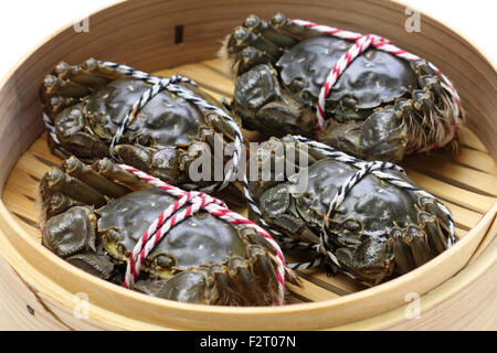 Matières crabe chinois, Shanghai crabe poilu en bateau à vapeur de bambou Banque D'Images