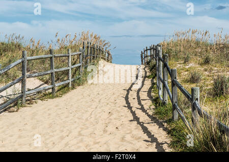 Chemin menant à la plage à la fin de l'été Banque D'Images