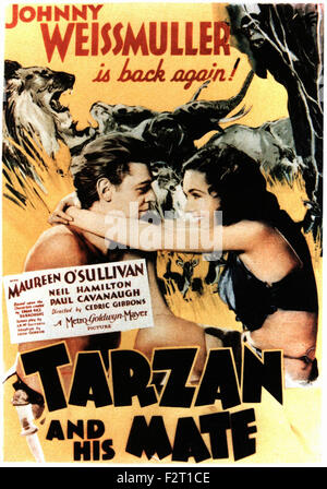 Tarzan et sa compagne - Film Poster Banque D'Images