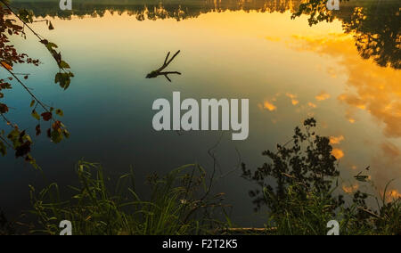 Le lever du soleil sur la première journée d'automne pour quelques beaux paysages à Lamar Comté lac près de Vernon, Al. Banque D'Images