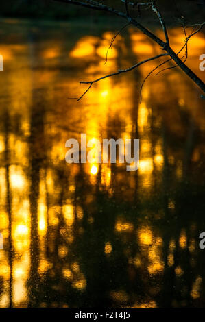 Le lever du soleil sur la première journée d'automne pour quelques beaux paysages à Lamar Comté lac près de Vernon, Al. Banque D'Images