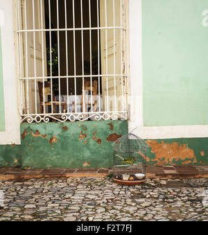 Birdcage, Trinidad Cuba Banque D'Images