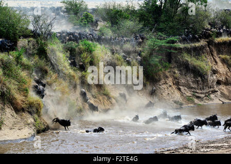 L'une des plus spectaculaires traversées de rivière de ces dernières années. Banque D'Images