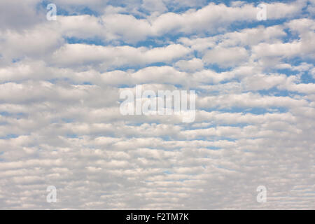 La formation de nuages cirrocumulus moelleux dense sur le fond bleu du ciel juste au-dessus de l'horizon de l'océan. Banque D'Images