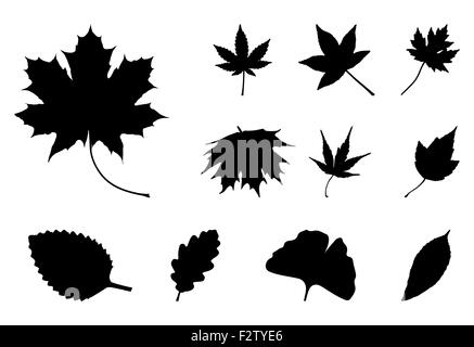Jeu de silhouettes de feuilles d'automne, symbole, icône. Vector illustration isolé sur fond blanc. Banque D'Images