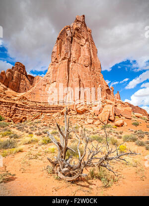 Nature fond, Arches National Park, Utah, USA. Banque D'Images