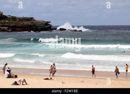 Bondi Beach Sydney Nouvelle Galles du Sud Banque D'Images