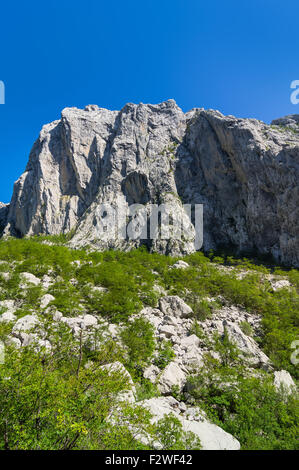 Parc national de Paklenica, pure nature à son meilleur. Banque D'Images