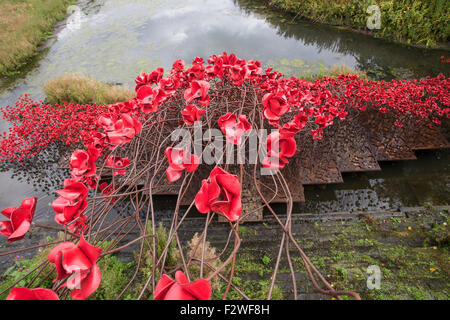 Pavot Rouge 'Wave' exposition de la Tour de Londres au pavot Yorkshire Sculpture Park. Les terres et les mers de sang ont balayé de rouge Banque D'Images