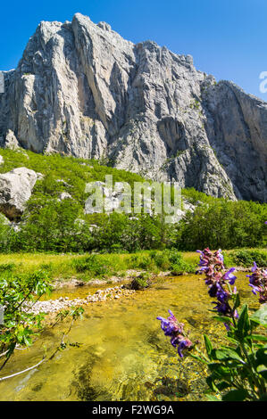 Parc national de Paklenica, pure nature à son meilleur. Banque D'Images