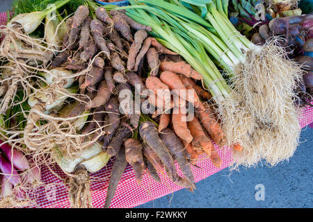 Affichage de poireau et rare heirloom carrots au marché de l'alimentation locale (dimanche marché de fermiers à Baie Saint Paul, Québec, Canada) Banque D'Images