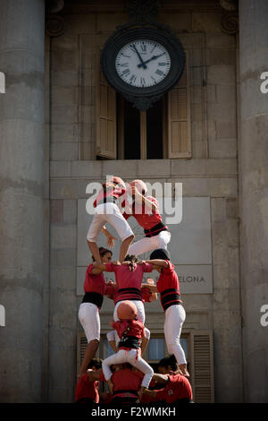 Barcelone, Espagne. Sep 24, 2015. Les membres de l'Castellers de Barcelona La construction d'une tour humaine à Barcelone le 24 septembre, 2015. Pour la Merce Festival (Festes de la Merce) a eu lieu la traditionnelle Jornada Castellera (tours humaines jour) dans la place de la mairie de Barcelone. Crédit : Jordi Boixareu/Alamy Live News Banque D'Images