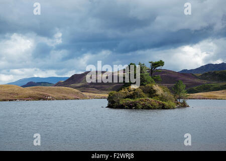 Cregennan les lacs. Le Parc National de Snowdonia. Gwynedd. Le Pays de Galles. UK. Banque D'Images