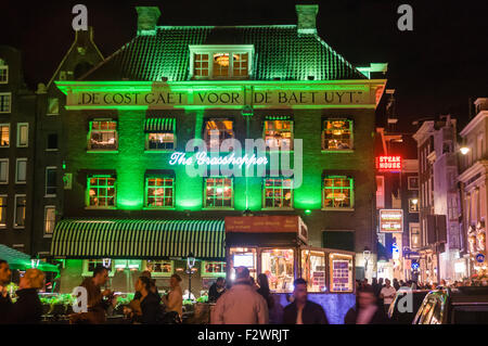 Le Grasshopper de nuit, illuminé en vert. C'était la plus célèbre Amsterdam coffeeshop, mais a été obligé de ne pas t Banque D'Images