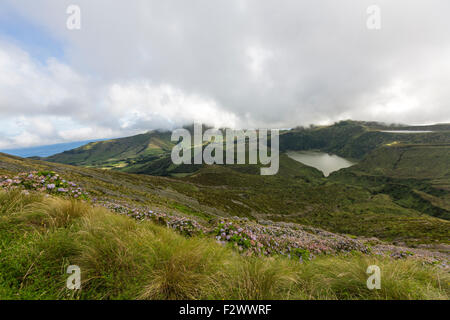 Lagoa Funda das Lajes et Lagoa Rasa derrière avec Hydrangea macrophylla, l'île de Flores, Açores Banque D'Images