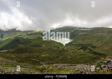 Lagoa Funda das Lajes et Lagoa Rasa derrière avec Hydrangea macrophylla, l'île de Flores, Açores Banque D'Images