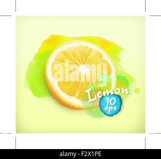 Aquarelle de citron, vector illustration Illustration de Vecteur