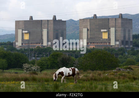 Une vue générale des installations nucléaires Magnox Trawsfynydd power station en Gwynedd, Pays de Galles. Banque D'Images