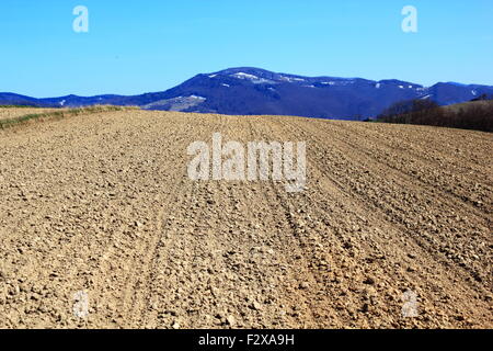 Champ labouré au fond des montagnes. Beskides, en Pologne. Banque D'Images