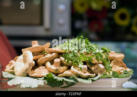 Repas de champignons et le persil dans une assiette Banque D'Images