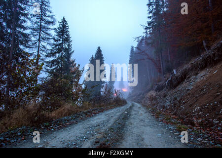 Petit Matin brumeux de l'automne paysage forestier dans les Carpates. La Transylvanie, Roumanie. L'Europe. Banque D'Images