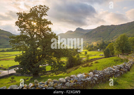 Langdale Pikes dans le Lake District. Banque D'Images