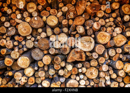 Bois de chauffage coupé à sec pour l'hiver Banque D'Images