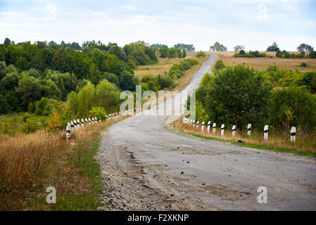 Vieille route à travers le champ et forêt Banque D'Images