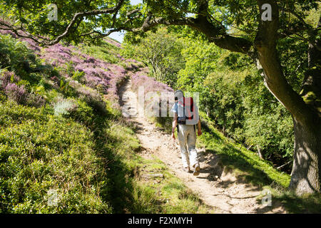 Marcher jusqu'Dundale Griff, au nord de Levisham, sur le trou de Horcum à pied, North York Moors, Yorkshire, Angleterre, Royaume-Uni Banque D'Images