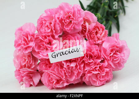 Gracias (ce qui signifie merci en espagnol) carte avec des œillets rose Banque D'Images