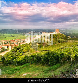 Avis de Soave (Italie) entouré de vignes qui produisent l'un des plus appréciés des vins blancs italiens, et sa célèbre medie Banque D'Images