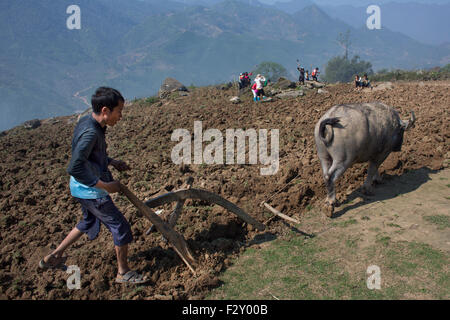 Labourer les champs à Sapa, Vietnam du Nord Banque D'Images