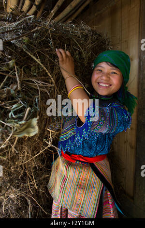 La collecte du bois fille hmongs dans SAPA, Vietnam Banque D'Images